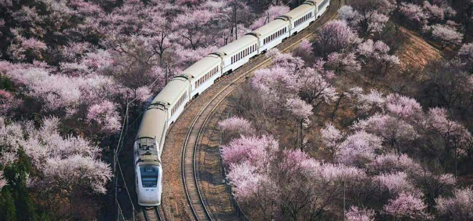 亞材門窗|讓生活與靈魂同行，感受不一樣的詩和遠(yuǎn)方