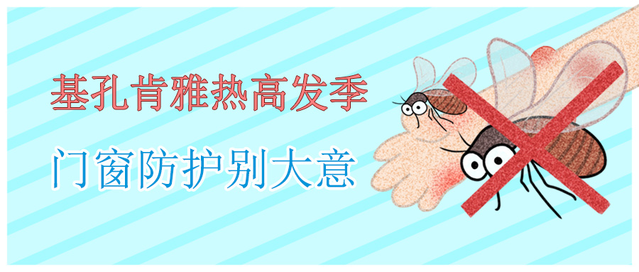 基孔肯雅熱高發(fā)季，門窗防護別大意